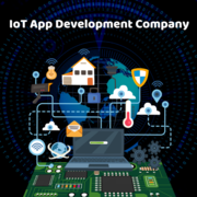 Beyond Root – The best IoT app development company to count on