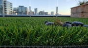 35mm Artificial Grass Roll – Perfect for Gardens,  Balconies & Landscap